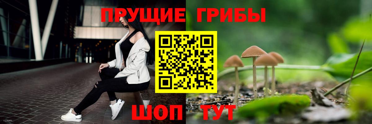 купить  цена  Псилоцибиновые грибы мухоморы  Вход с VPN  Ярцево 