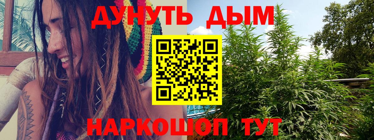Шишки марихуана сатива  Вход с VPN  МАРИХУАНА сатива  Марихуана конопля  Ярцево  Бошки Шишки Bruce Banner 